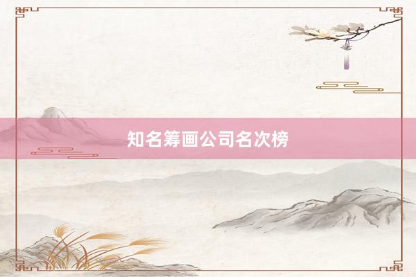 知名筹画公司名次榜