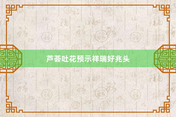 芦荟吐花预示祥瑞好兆头