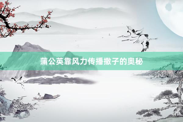 蒲公英靠风力传播撒子的奥秘
