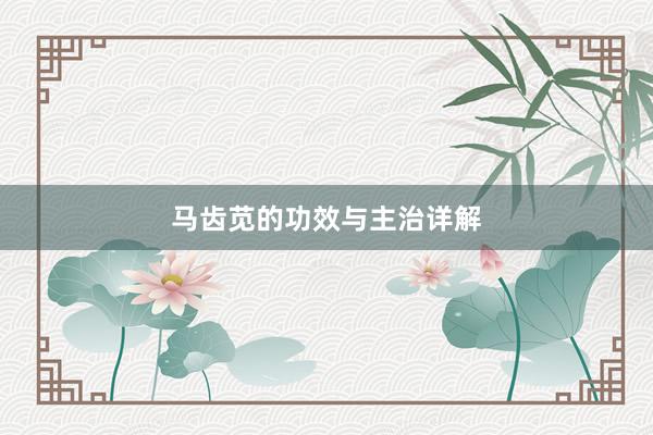 马齿苋的功效与主治详解