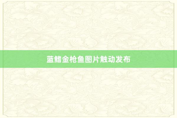 蓝鳍金枪鱼图片触动发布