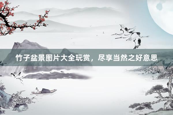 竹子盆景图片大全玩赏，尽享当然之好意思