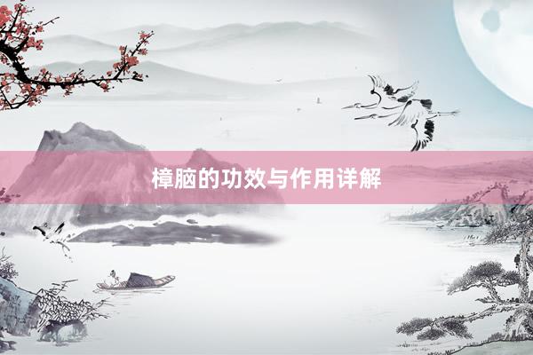 樟脑的功效与作用详解